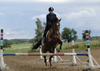 oboz-konie-2016-3-6-0256