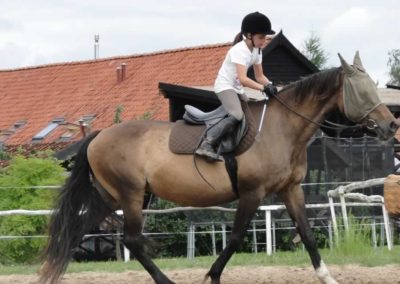 oboz-konie-2016-3-7-0023