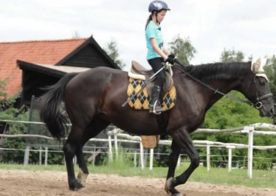 oboz-konie-2016-3-7-0037