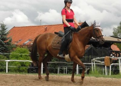 oboz-konie-2016-3-7-0119