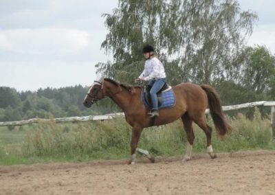 oboz-konie-2016-3-7-0152