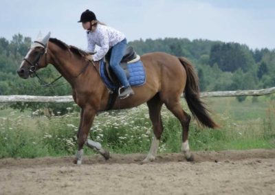 oboz-konie-2016-3-7-0181