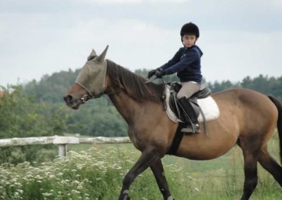 oboz-konie-2016-3-7-0183