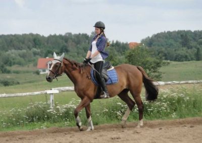 oboz-konie-2016-3-7-0187