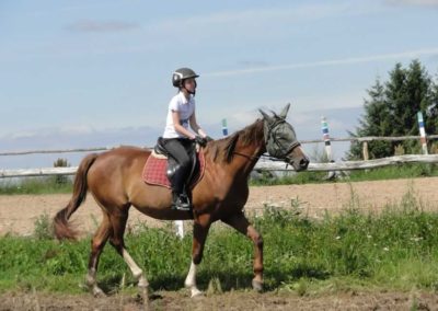oboz-konie-2016-4-1-0008