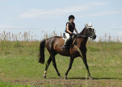 oboz-konie-2016-4-1-0018
