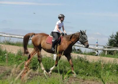 oboz-konie-2016-4-1-0050