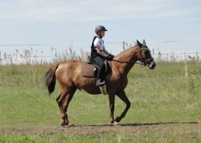 oboz-konie-2016-4-1-0054
