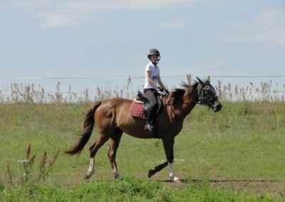 oboz-konie-2016-4-1-0058