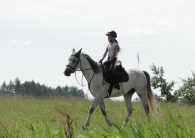 oboz-konie-2016-4-1-0064