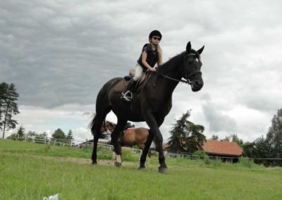 oboz-konie-2016-4-2-0006