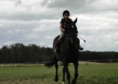 oboz-konie-2016-4-2-0029