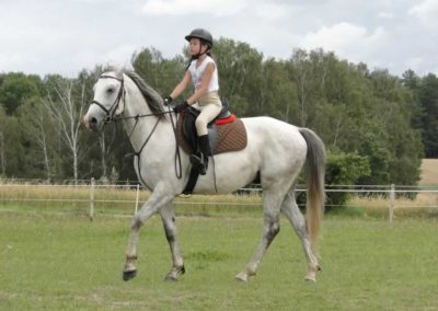 oboz-konie-2016-4-2-0055