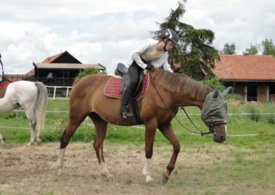 oboz-konie-2016-4-2-0060