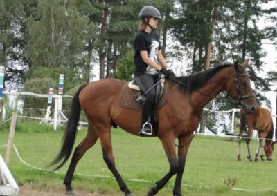 oboz-konie-2016-4-2-0093