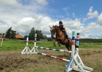 oboz-konie-2016-4-2-0176
