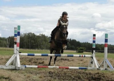 oboz-konie-2016-4-2-0188