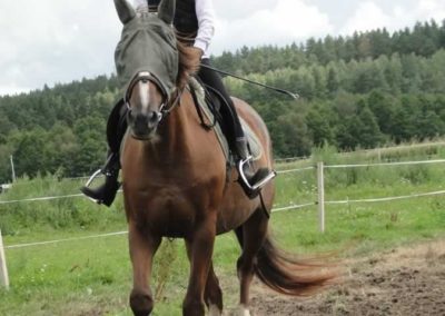 oboz-konie-2016-4-3-0004