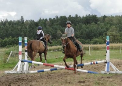 oboz-konie-2016-4-3-0049