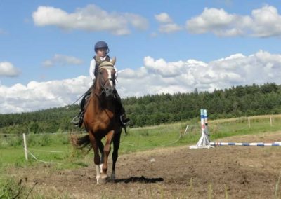 oboz-konie-2016-4-3-0158