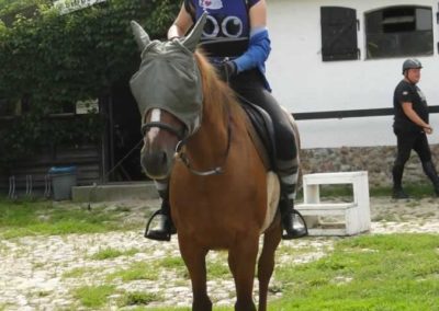 oboz-konie-2016-4-4-0008