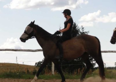 oboz-konie-2016-4-4-0032