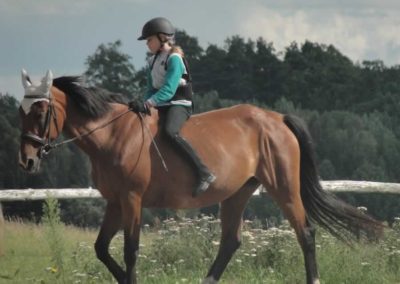 oboz-konie-2016-4-4-0075