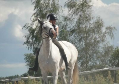 oboz-konie-2016-4-4-0092