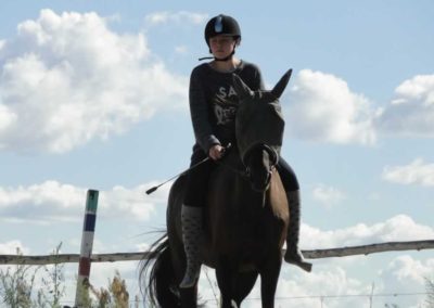 oboz-konie-2016-4-4-0178