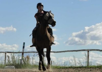 oboz-konie-2016-4-4-0205