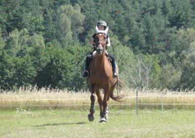 oboz-konie-2016-4-5-0002