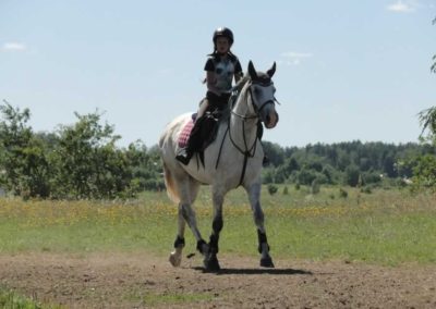 oboz-konie-2016-4-5-0007