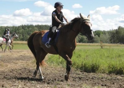 oboz-konie-2016-4-5-0013