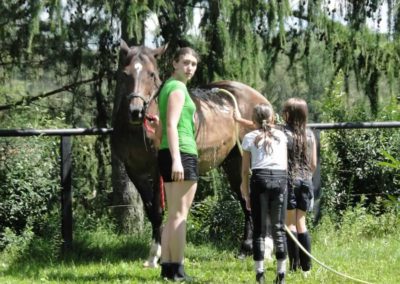 oboz-konie-2016-4-5-0241