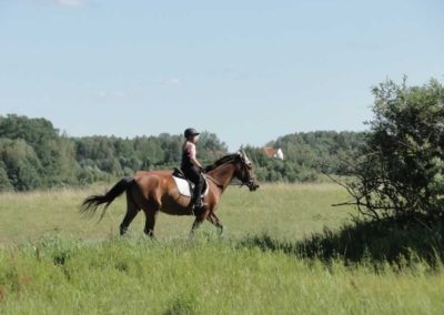 oboz-konie-2016-4-5-0253