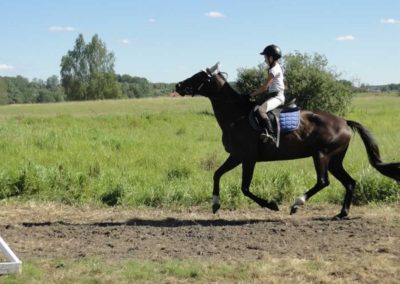 oboz-konie-2016-4-5-0254