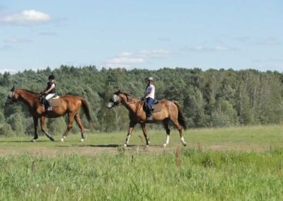 oboz-konie-2016-4-5-0272