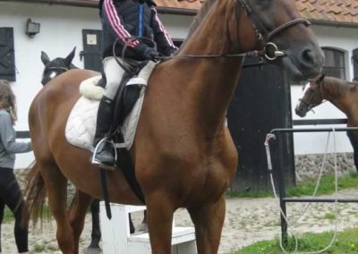 oboz-konie-2016-4-6-0006