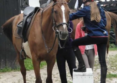 oboz-konie-2016-4-6-0013