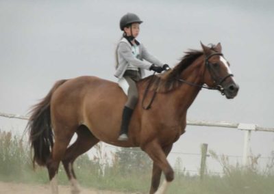 oboz-konie-2016-4-6-0042