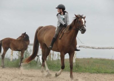 oboz-konie-2016-4-6-0054