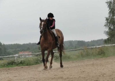 oboz-konie-2016-4-6-0096