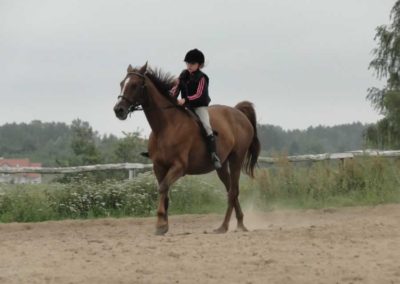oboz-konie-2016-4-6-0098