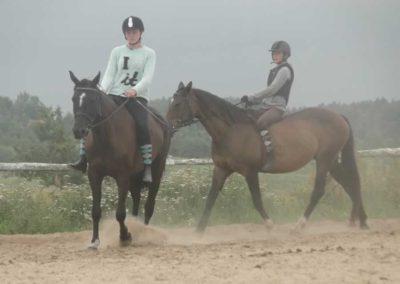 oboz-konie-2016-4-6-0166