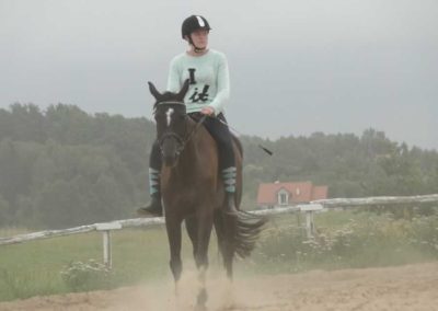 oboz-konie-2016-4-6-0170