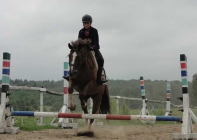 oboz-konie-2016-4-6-0197