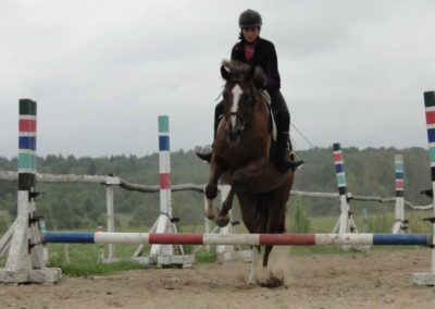 oboz-konie-2016-4-6-0204
