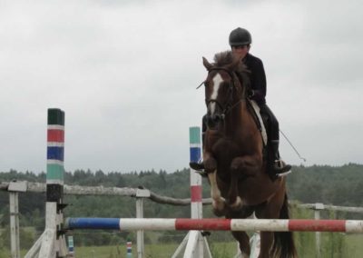 oboz-konie-2016-4-6-0206