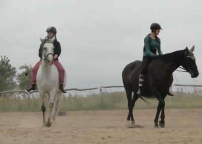 oboz-konie-2016-4-6-0211