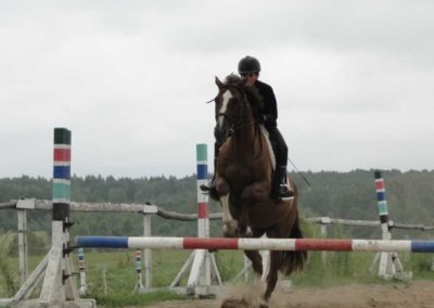 oboz-konie-2016-4-6-0216